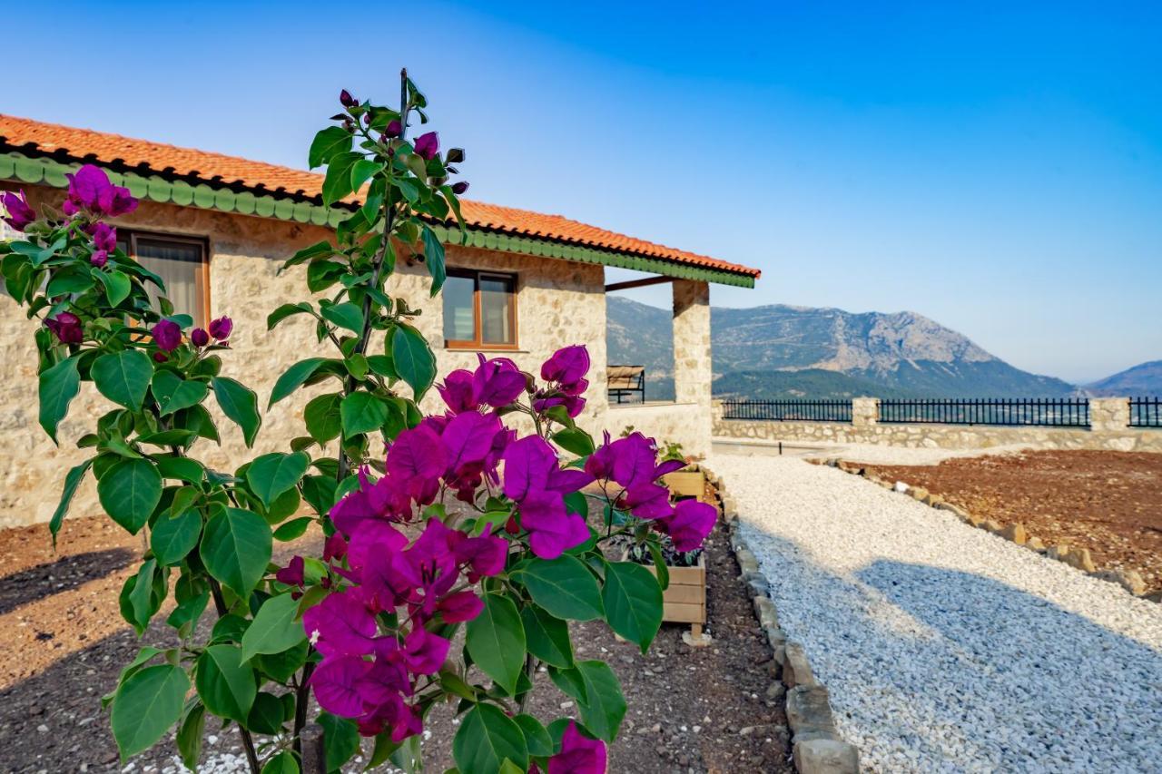Villa Teras Adrasan Extérieur photo