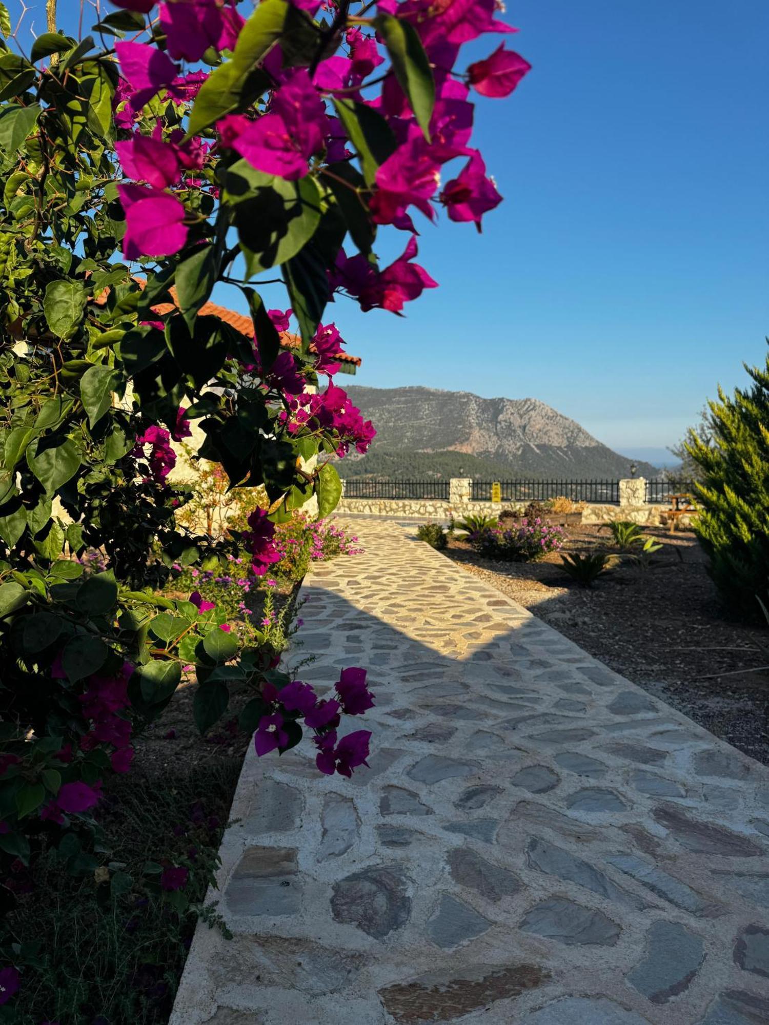 Villa Teras Adrasan Extérieur photo