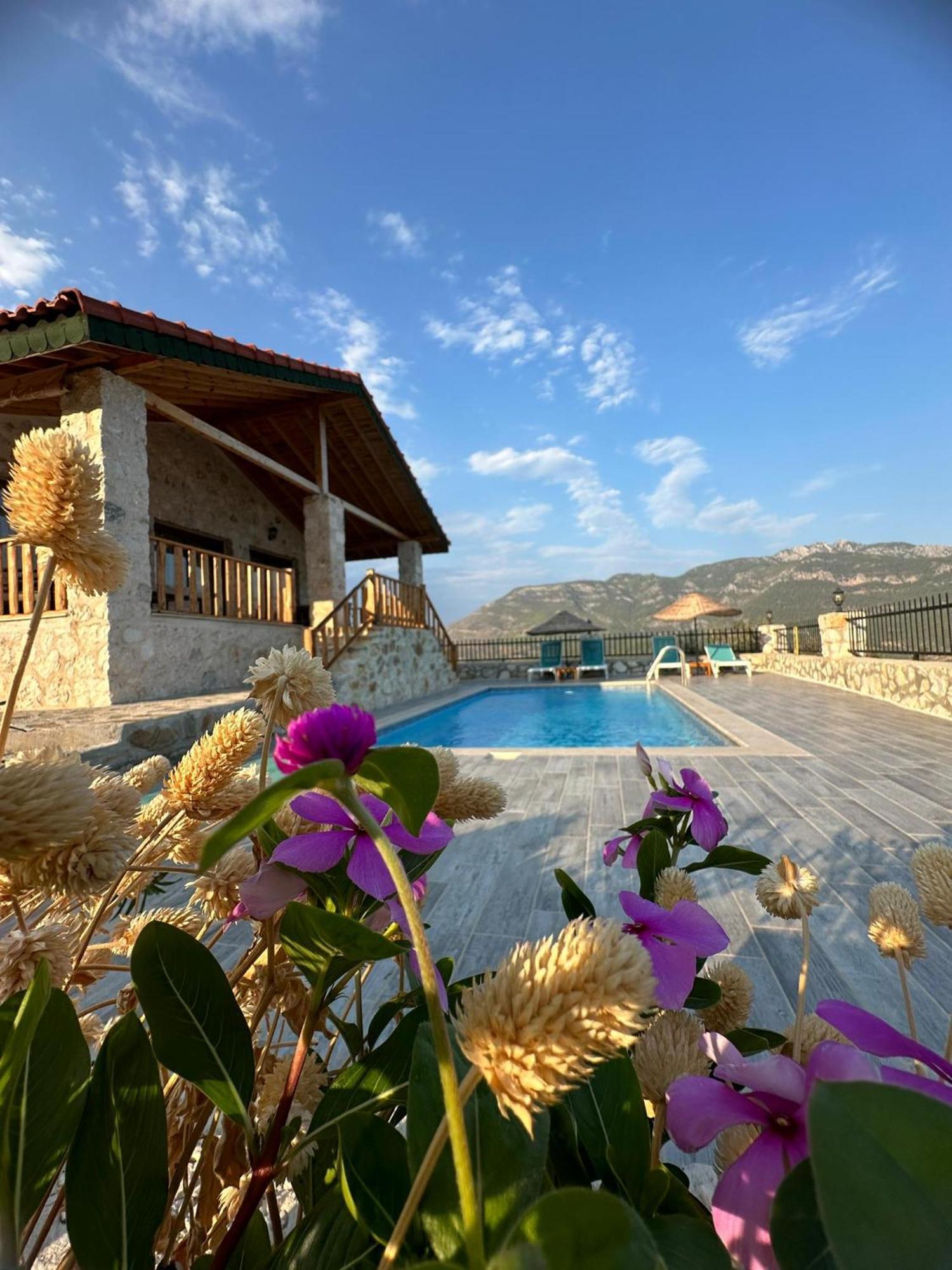 Villa Teras Adrasan Extérieur photo